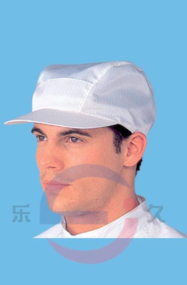 LJ-024 防静电工帽